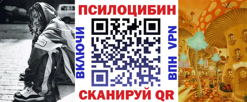 Купить где  Яблоновский  Галлюциногенные грибы Psilocybine cubensis 